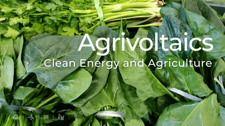 Close-up of fresh leafy greens, including spinach and cilantro, labeled with the text “Agrivoltaics – Clean Energy and Agriculture”